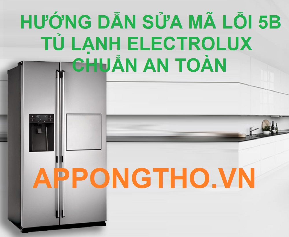 Nguyên nhân chính gây ra lỗi 5B ở tủ lạnh Electrolux là gì?