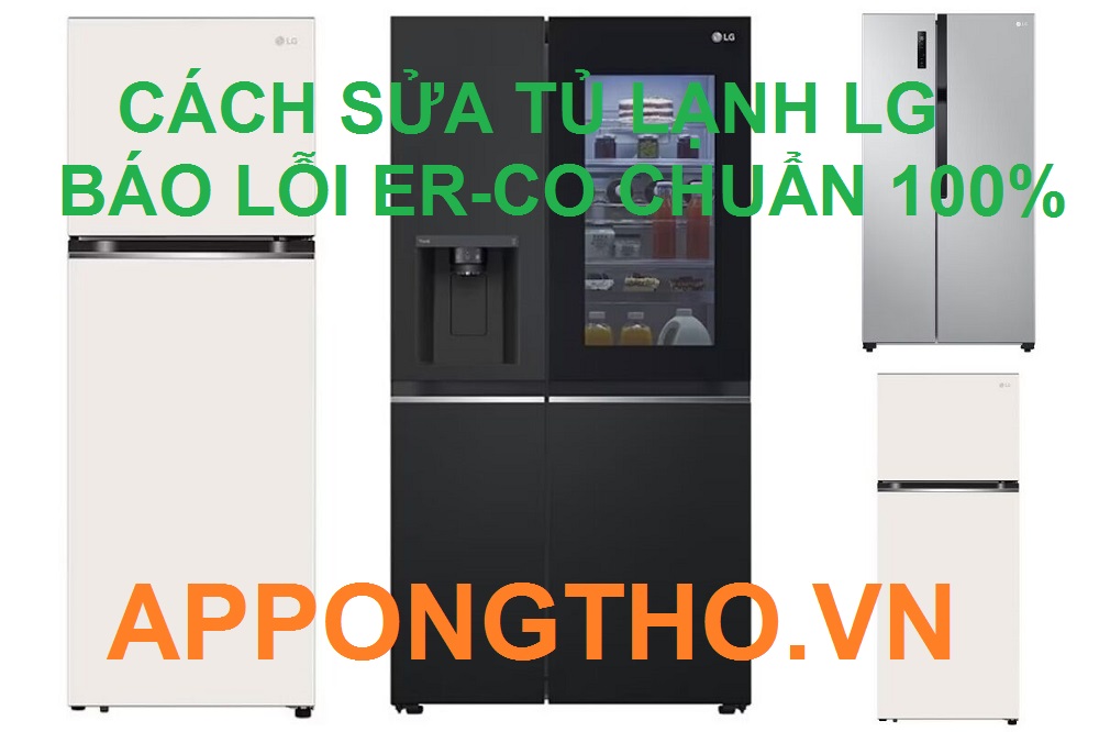 Hướng dẫn sửa lỗi tủ lạnh LG ER-CO có khó không?